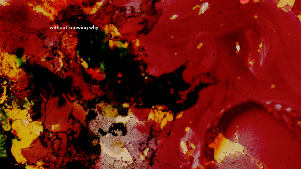 Traje de Luces (2018), by Franci Duran